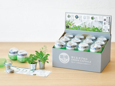 Green Capsule - Assorted Herb (1 Piece)