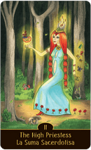 Sortilegium Tarot Bilingual Deck & Guidebook