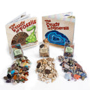 Mini Fossil Box Pack
