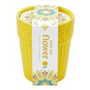 Botanical Pot -  Mini Sunflower