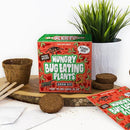 Bug Eating Plants Sow and Grow