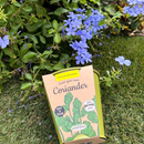 Pastel Coloured Pots With Chalk: Coriander