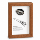 Framed Fossils
