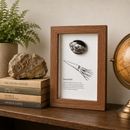 Framed Fossils