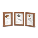 Framed Fossils