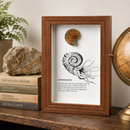 Framed Fossils