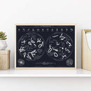 Scratch Poster - Constellation