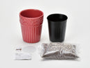 Grace Garden Pot - Mini Sunflower