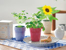 Grace Garden Pot - Mini Sunflower