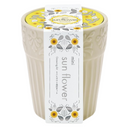 Grace Garden Pot - Mini Sunflower