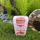 Ice Cream Cone - Strawberry