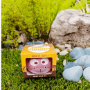 Grow Your Own Kits - African Animals