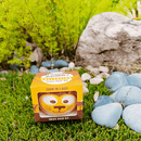 Grow Your Own Kits - African Animals