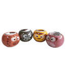 Grow Your Own Kits - African Animals