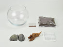 Aquatic Plants Growing Kit - Large