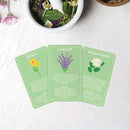 Card Pack - Healing Herbs
