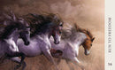 Horse Wisdom Oracle (Deluxe Oracle Cards)
