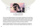 Horse Wisdom Oracle (Deluxe Oracle Cards)