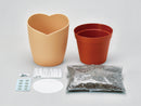 Growing Kit - Catnip
