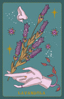 Herbarium Oracle
