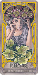 Lady Stirling's Wicked Garden Oracle Deck