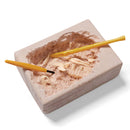 T.Rex Excavation Kit