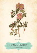 Oracle of The Roses