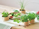 WAPPA Growing Kit - Shiso