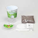 Self Watering Cultivation Kit - Radish