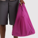 Standard Baggu - Deep Fuchsia