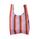Standard Baggu - Gradient Stripe Poppy & Lilac