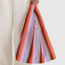 Standard Baggu - Gradient Stripe Poppy & Lilac