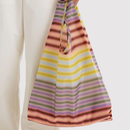 Standard Baggu - Gradient Stripe Multi