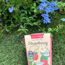 Pastel Coloured Pots With Chalk: Strawberry