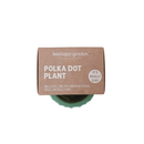 Succulent Collection: Polka Dots