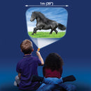 Torch & Projector: Horse