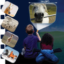 Torch & Projector: Horse