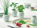 Tsubo Growing Kit - Chilli Pepper