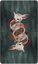 Wisdom of the Wild Things Oracle