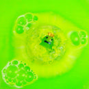 Baff Bombz - Alien Surprise