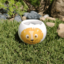 Grow Your Own Kits - Jungle Adventure