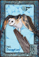 Animal Dreaming Oracle