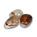 Basketline Onyx