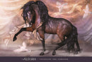 Oracle of the Sacred Horse